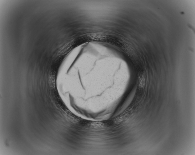 X0000097850666200804041507