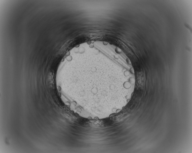 X0000097850667200804041507