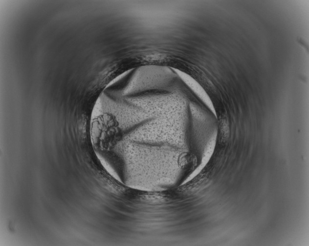 X0000097850668200804041508