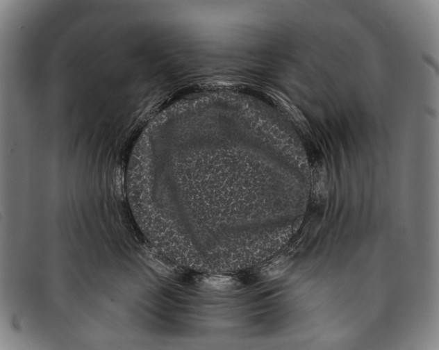 X0000097850669200804041508