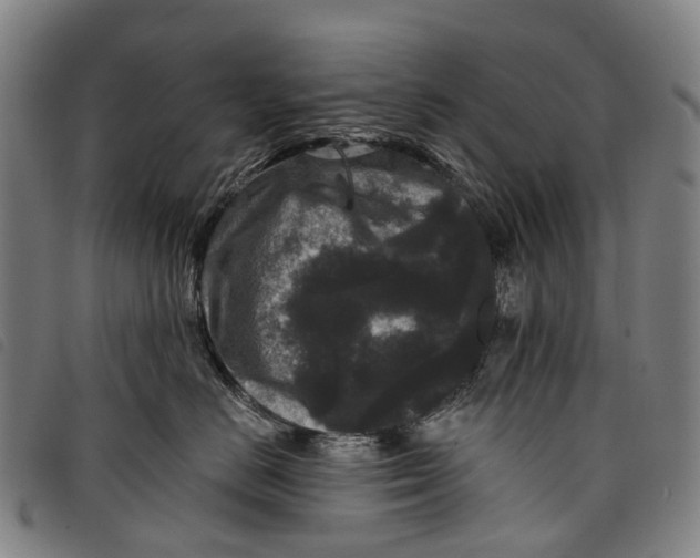 X0000097850670200804041508