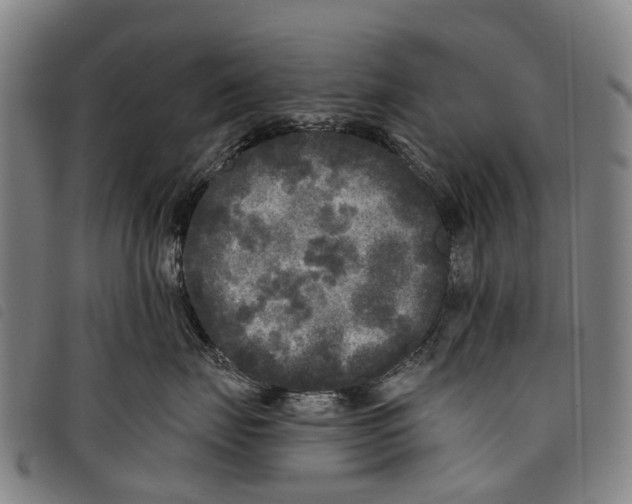 X0000097850671200804041508