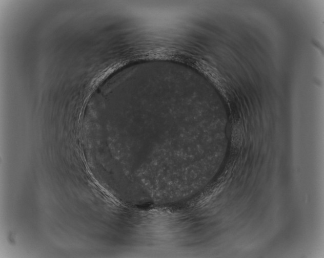 X0000097850673200804041507