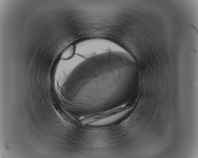 X0000097850674200804041507