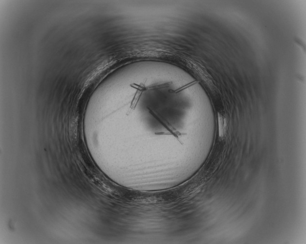 X0000097850675200804041507