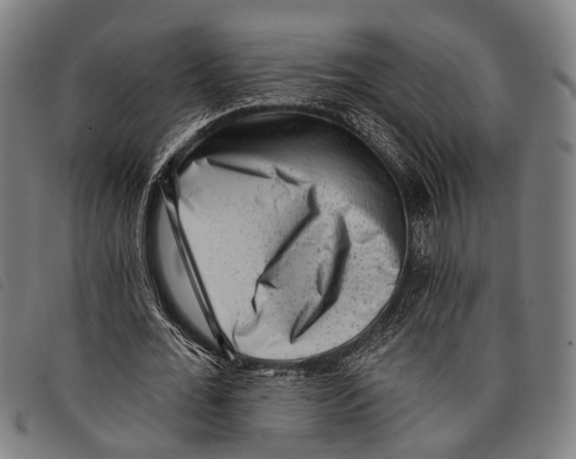 X0000097850676200804041507