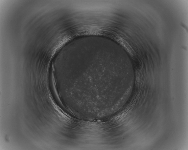 X0000097850677200804041507