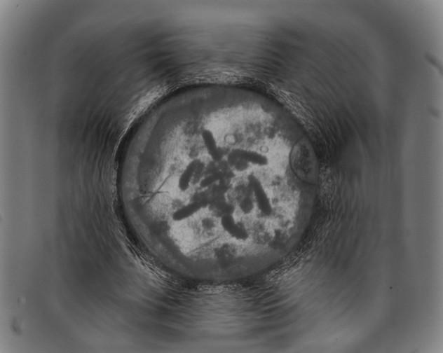 X0000097850679200804041507