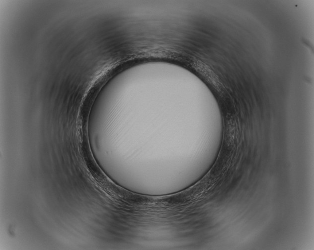 X0000097850680200804041507