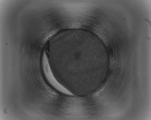 X0000097850681200804041507