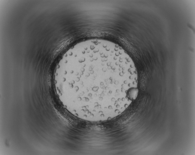 X0000097850683200804041507