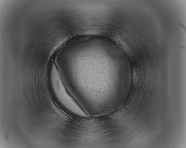 X0000097850684200804041507