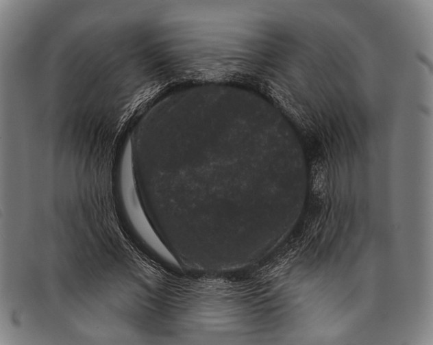 X0000097850685200804041507