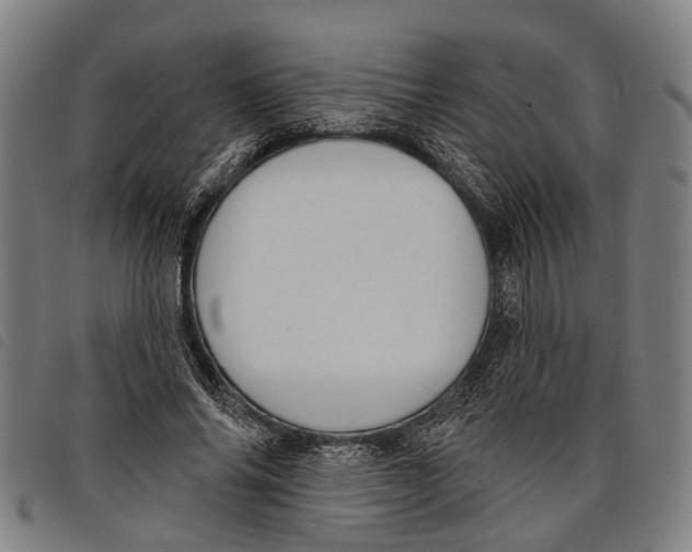 X0000097850686200804041507