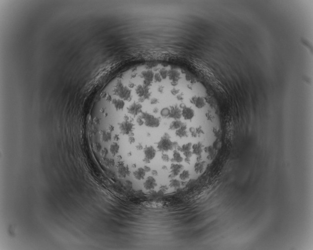 X0000097850687200804041507