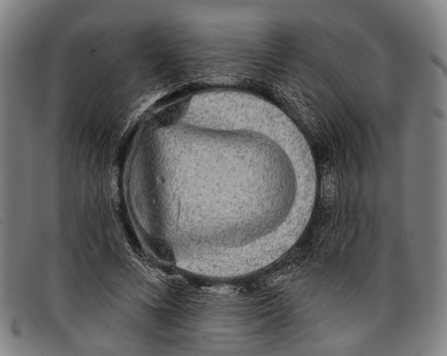 X0000097850688200804041507