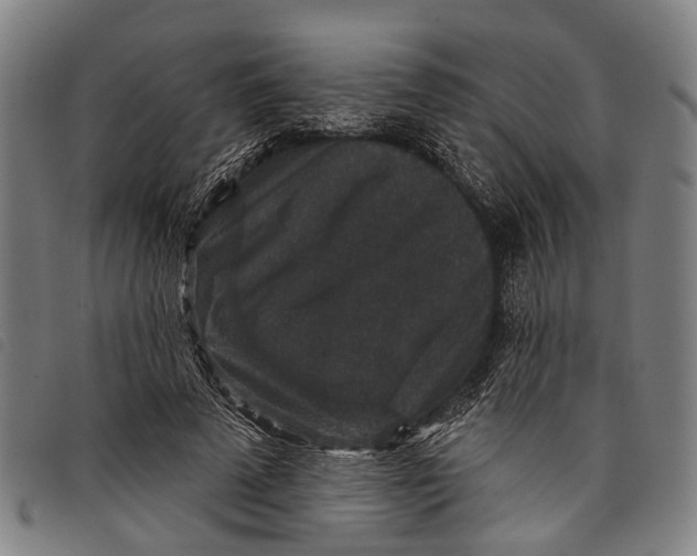 X0000097850689200804041507