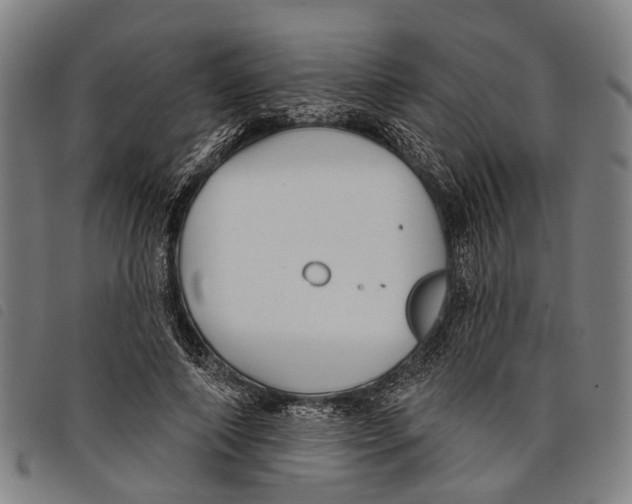 X0000097850690200804041506