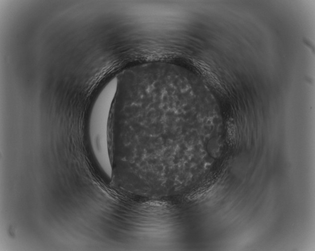 X0000097850691200804041506