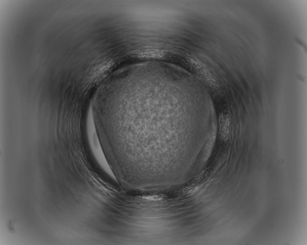 X0000097850692200804041506