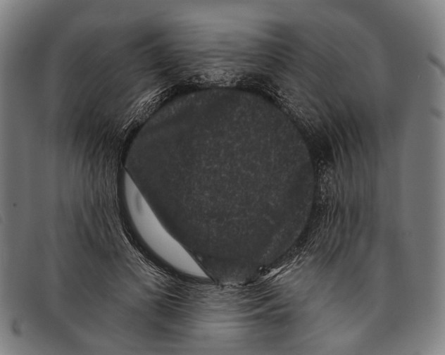 X0000097850693200804041506