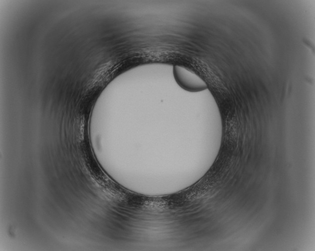 X0000097850694200804041506