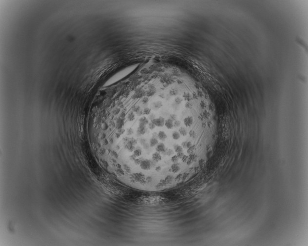 X0000097850695200804041506