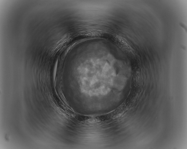 X0000097850696200804041506