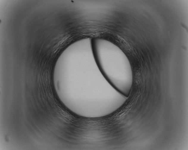 X0000097850697200804041506