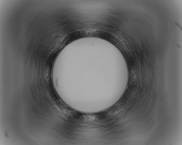 X0000097850698200804041506