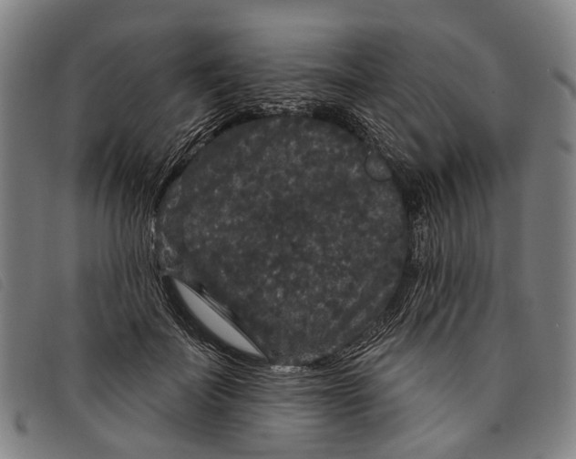 X0000097850699200804041506