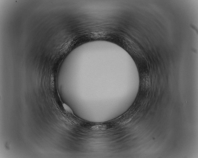 X0000097850700200804041506