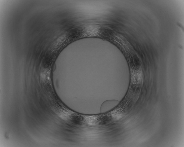 X0000097850701200804041506