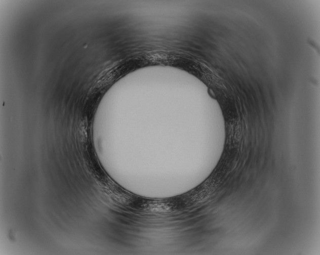 X0000097850702200804041506