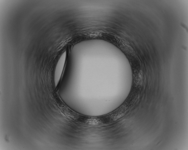 X0000097850704200804041506