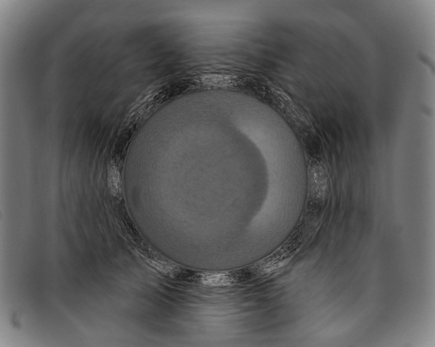 X0000097850705200804041506