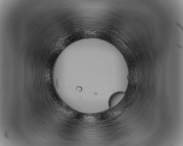 X0000097850706200804041506