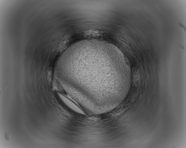 X0000097850708200804041506