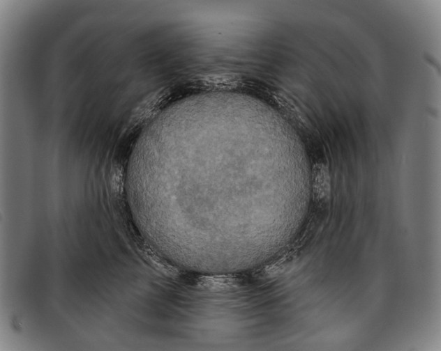 X0000097850713200804041506