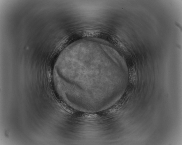 X0000097850716200804041506