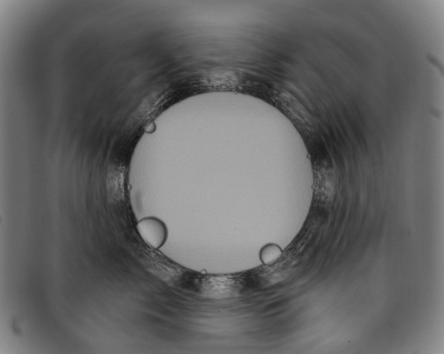 X0000097850717200804041506