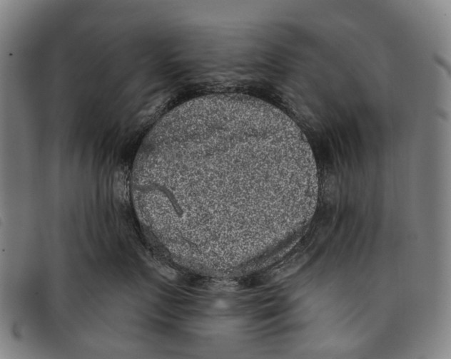 X0000097850719200804041506