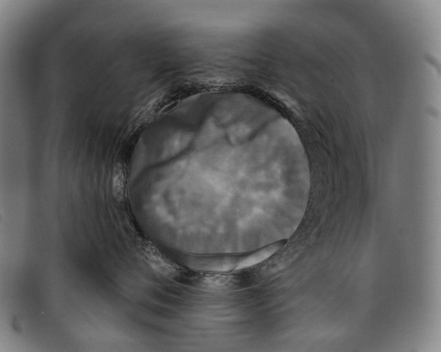 X0000097850720200804041506