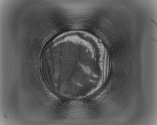 X0000097850721200804041505