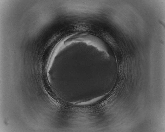 X0000097850722200804041505