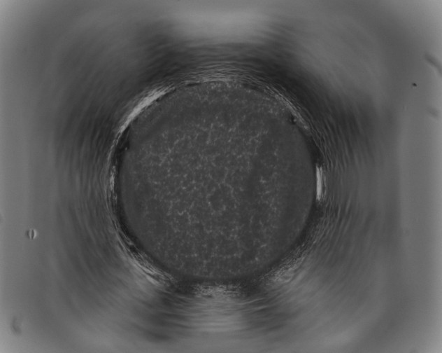 X0000097850723200804041505