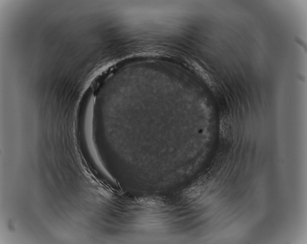 X0000097850724200804041505