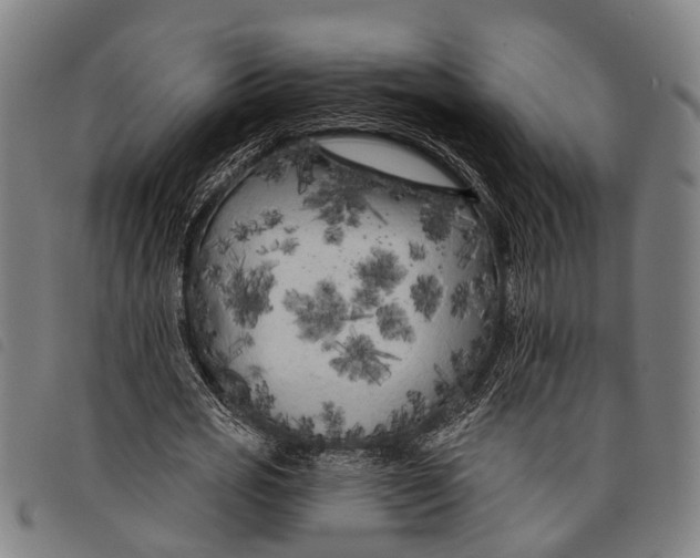 X0000097850725200804041505