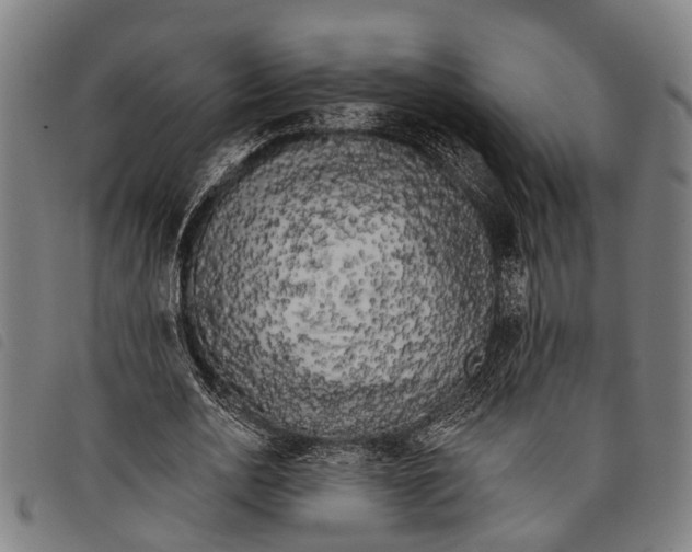 X0000097850726200804041505