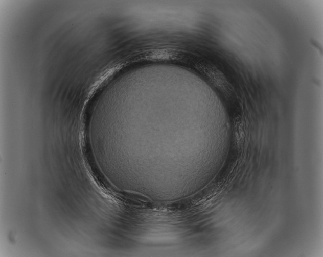 X0000097850728200804041505